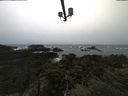 ./images/calvert/lookout/20211113/lookout20211113_115002.jpg