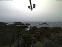 ./images/calvert/lookout/20211113/lookout20211113_115502.jpg