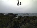 ./images/calvert/lookout/20211113/lookout20211113_120502.jpg