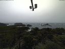 ./images/calvert/lookout/20211113/lookout20211113_121501.jpg
