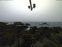 ./images/calvert/lookout/20211113/lookout20211113_123501.jpg