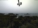 ./images/calvert/lookout/20211113/lookout20211113_125501.jpg
