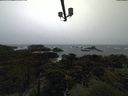./images/calvert/lookout/20211113/lookout20211113_130501.jpg