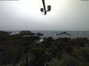 ./images/calvert/lookout/20211113/lookout20211113_131001.jpg
