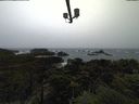 ./images/calvert/lookout/20211113/lookout20211113_132001.jpg