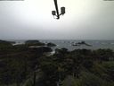 ./images/calvert/lookout/20211113/lookout20211113_133502.jpg