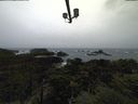 ./images/calvert/lookout/20211113/lookout20211113_134502.jpg