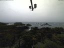 ./images/calvert/lookout/20211113/lookout20211113_135002.jpg
