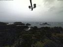 ./images/calvert/lookout/20211113/lookout20211113_140501.jpg