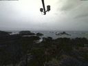 ./images/calvert/lookout/20211113/lookout20211113_141001.jpg