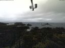 ./images/calvert/lookout/20211114/lookout20211114_114001.jpg