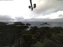 ./images/calvert/lookout/20211114/lookout20211114_124502.jpg