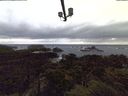 ./images/calvert/lookout/20211114/lookout20211114_164501.jpg