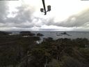 ./images/calvert/lookout/20211115/lookout20211115_080001.jpg