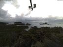 ./images/calvert/lookout/20211115/lookout20211115_082001.jpg