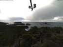 ./images/calvert/lookout/20211115/lookout20211115_111002.jpg