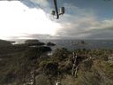 ./images/calvert/lookout/20211116/lookout20211116_124502.jpg