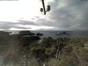 ./images/calvert/lookout/20211116/lookout20211116_135501.jpg