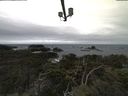./images/calvert/lookout/20211117/lookout20211117_083502.jpg