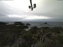 ./images/calvert/lookout/20211117/lookout20211117_092001.jpg