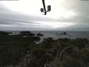 ./images/calvert/lookout/20211117/lookout20211117_095502.jpg