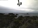 ./images/calvert/lookout/20211117/lookout20211117_101001.jpg