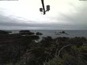 ./images/calvert/lookout/20211117/lookout20211117_122501.jpg