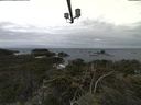 ./images/calvert/lookout/20211117/lookout20211117_134501.jpg