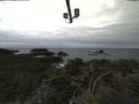 ./images/calvert/lookout/20211117/lookout20211117_135502.jpg