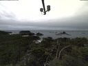 ./images/calvert/lookout/20211117/lookout20211117_140502.jpg