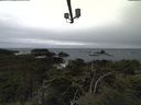./images/calvert/lookout/20211117/lookout20211117_141002.jpg
