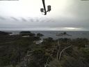 ./images/calvert/lookout/20211117/lookout20211117_144501.jpg
