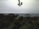 ./images/calvert/lookout/20211117/lookout20211117_151501.jpg