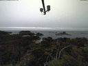 ./images/calvert/lookout/20211117/lookout20211117_152002.jpg