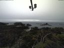 ./images/calvert/lookout/20211117/lookout20211117_152502.jpg