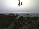 ./images/calvert/lookout/20211117/lookout20211117_153502.jpg