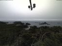 ./images/calvert/lookout/20211117/lookout20211117_154502.jpg