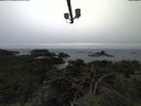 ./images/calvert/lookout/20211117/lookout20211117_155002.jpg