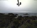 ./images/calvert/lookout/20211117/lookout20211117_155502.jpg