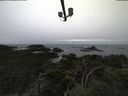./images/calvert/lookout/20211117/lookout20211117_160502.jpg