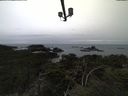 ./images/calvert/lookout/20211117/lookout20211117_162001.jpg