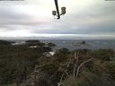 ./images/calvert/lookout/20211118/lookout20211118_084502.jpg