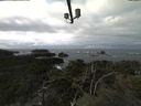 ./images/calvert/lookout/20211118/lookout20211118_112001.jpg