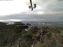 ./images/calvert/lookout/20211118/lookout20211118_115501.jpg