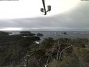 ./images/calvert/lookout/20211118/lookout20211118_120501.jpg