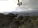 ./images/calvert/lookout/20211118/lookout20211118_124502.jpg