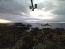 ./images/calvert/lookout/20211118/lookout20211118_160501.jpg