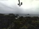 ./images/calvert/lookout/20211120/lookout20211120_133501.jpg