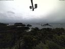 ./images/calvert/lookout/20211120/lookout20211120_155502.jpg