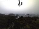 ./images/calvert/lookout/20211121/lookout20211121_075502.jpg